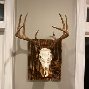 Meet your Posher, Greg